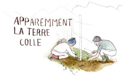 Apparemment la terre colle