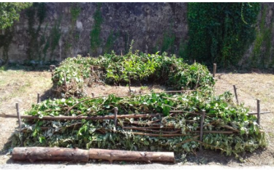 Coupe de rentrée pour le jardin de l’Usine