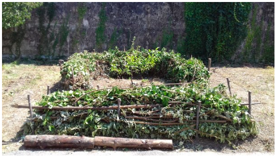 Coupe de rentrée pour le jardin de l’Usine